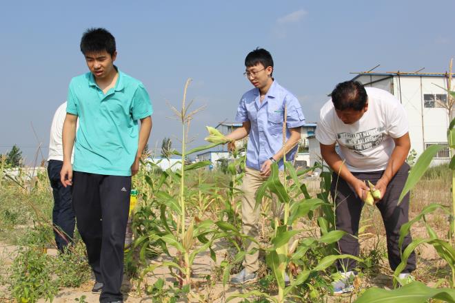多彩生活——摘蔬菜、掰玉米